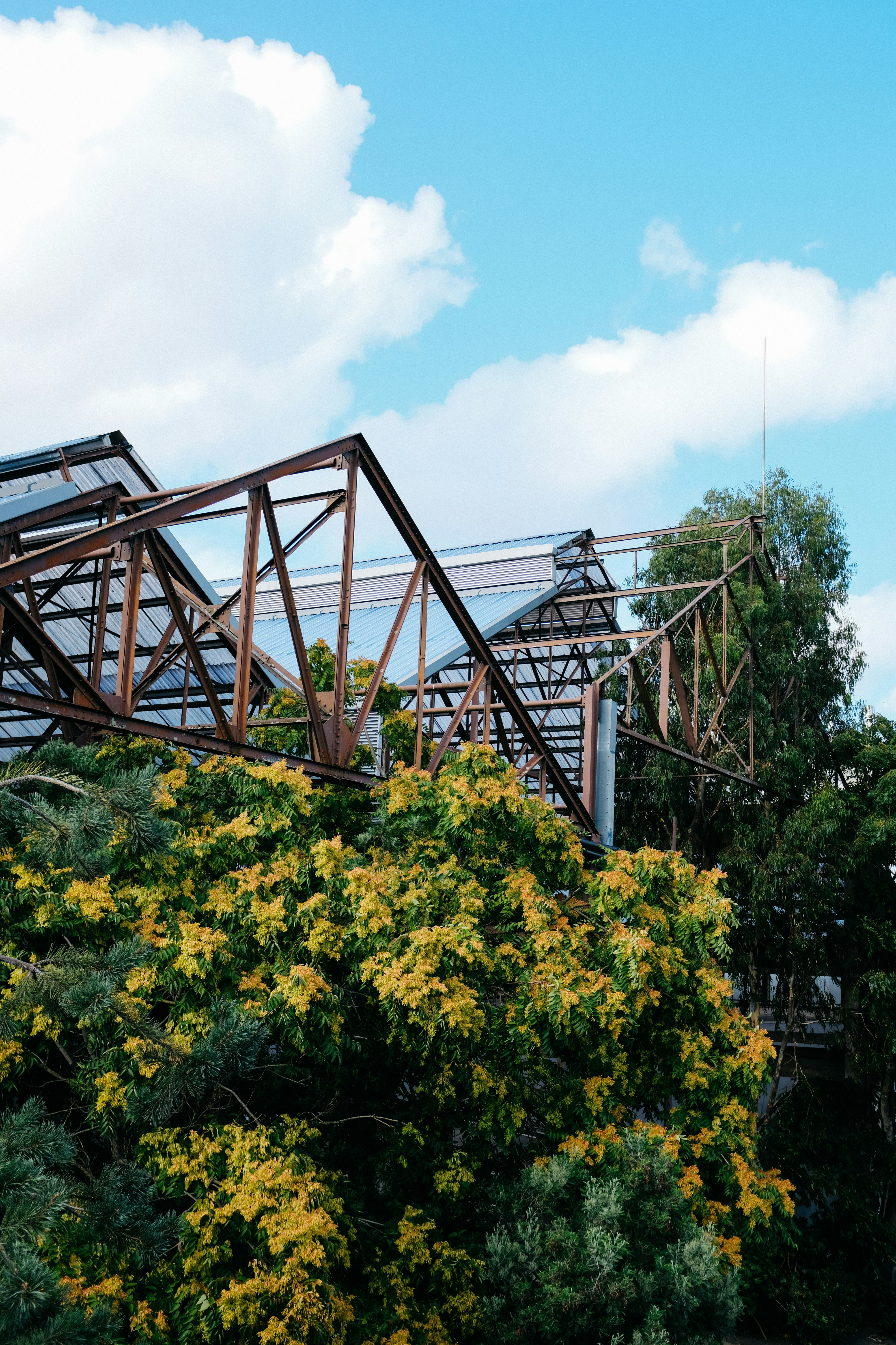 brown metal bridge over green trees during daytime